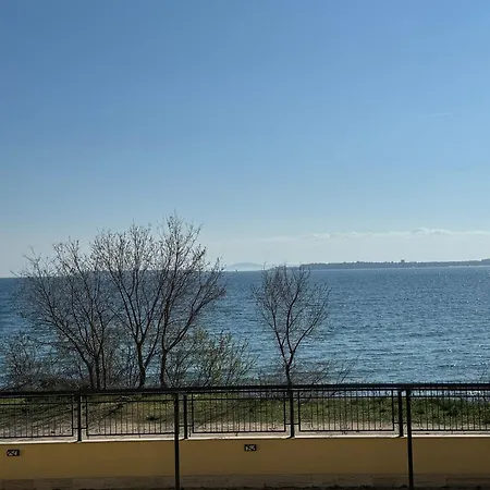 Horizon 8,1 'a' * Szveti Vlasz